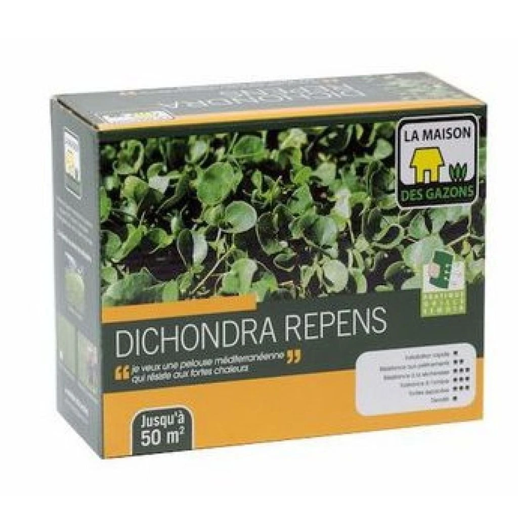 Graines De Dichondra Repens