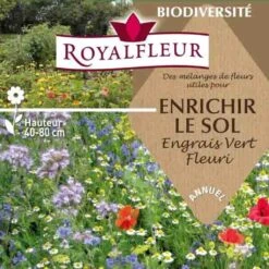 Mélange Pour Enrichir Le Sol (engrais Vert Fleuri) - Boite 100m2